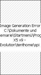 Spielstand Denk- und Geduldspiele